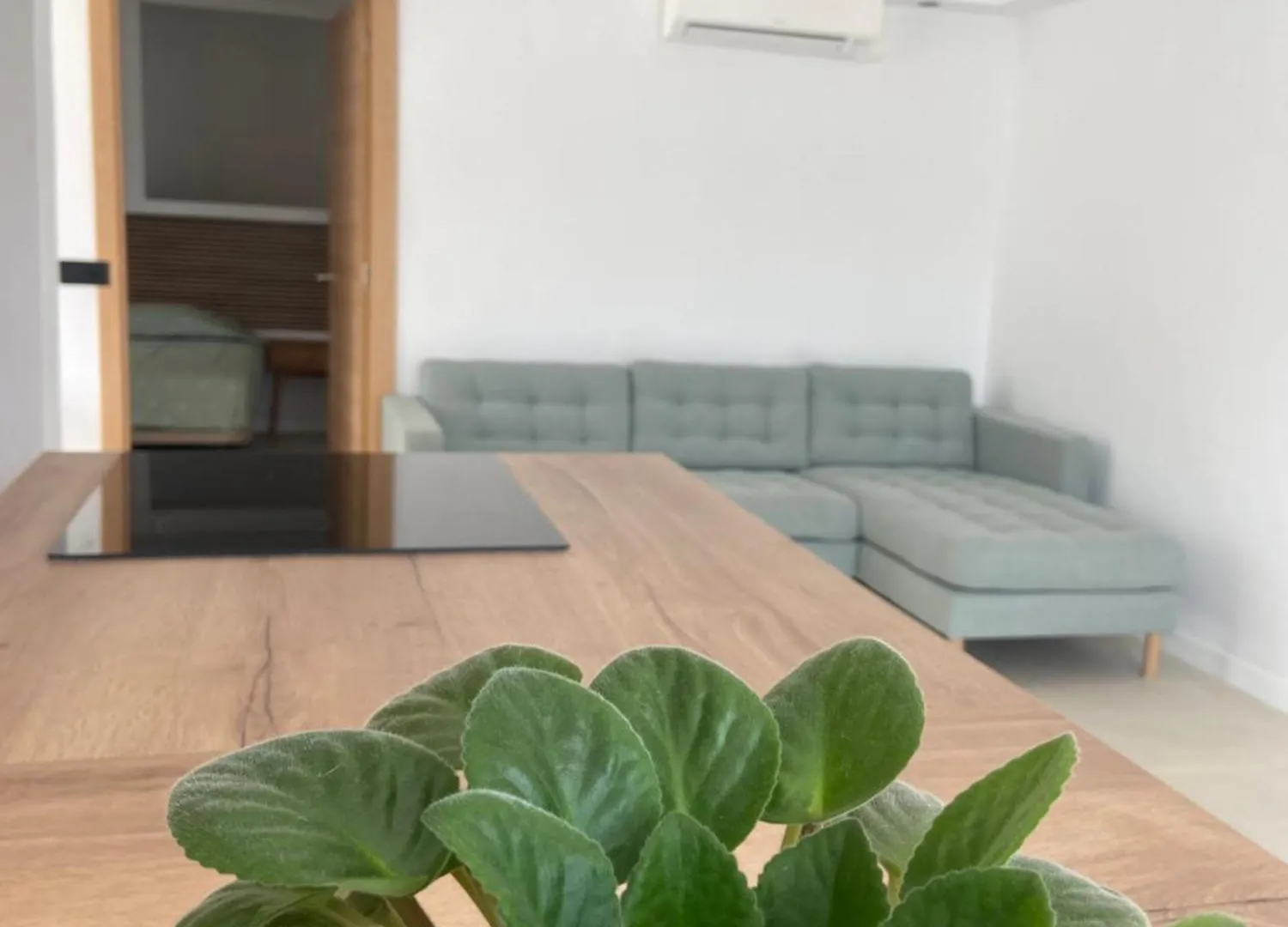 Eco Del Mar Apartment Cala d'Or  0*, Cala d'Or (Mallorca)